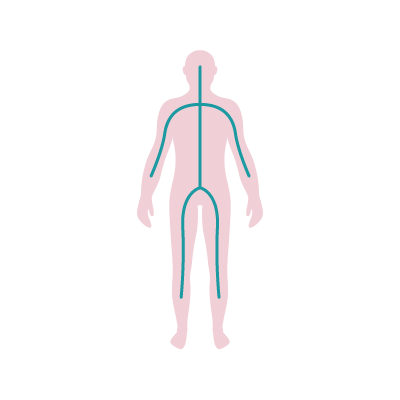 Osteopathie nach Moshe Kastiel